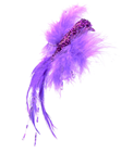 Decorative Feather Bird - Purple 