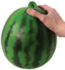 Watermelon - 20 x 24cm 