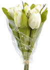 Tulip Bouquet - White 