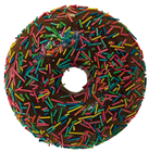 Giant Brown Donut with Sprinkles 