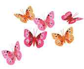 Decorative Butterflies - Pink-Orange, Pk 