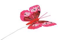 Decorative Butterflies - Pink-Orange, Pk 