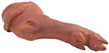 Fake Pig Trotter Leg Joint 