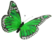 Green Feather Butterfly - 30cm 