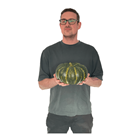 Green Pumpkin - 23cm 