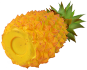 Free-Standing Pineapple 