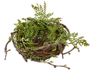 Fake Bird''s Nest with Foliage - 1 