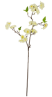 White Cherry Blossom Branch - 82cm 