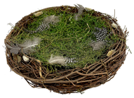 Large Nest with Grass 