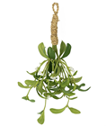 Mistletoe Bunch - 35cm 