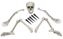 Groundbreaker Skeleton 