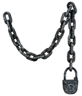 Chain & Padlock