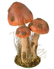 Mushroom Group - 30cm 