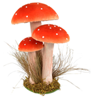 Toadstool Group - 36cm 