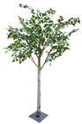 Birch Tree - 190cm 