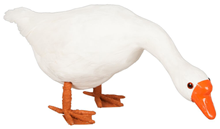 White Goose with Head Down