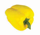 Yellow Pepper 