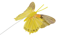 Decorative Butterflies - Yellow, Pk.6 