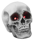 Skull with Light-Up Eyes 
