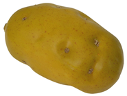 Potato 