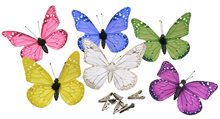 Coloured Butterflies with Magnet and Cli 