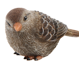 Brown Polyresin Bird 