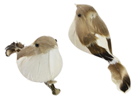 Brown / White Feather Birds - Pk.2 