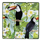 Tropical Toucan Picture 