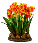 Artificial Tulip Display 