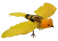 Bird in Flight - Yellow 