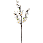 White Blossom Branch - 95cm 