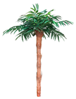 Coconut Palm Tree - 240cm 