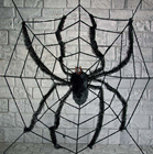 Web with Spider 240cm 