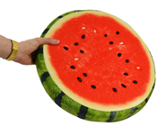 Foam Plush Watermelon Slice 
