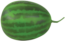 Watermelon - 20 x 26cm 