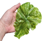 Lettuce Leaves - Pk.3 