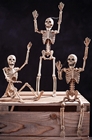 Poseable Skeleton - 35cm 