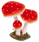 Fly Agaric Toadstool Group - 18cm 