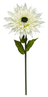 Giant Cream Double Gerbera Flower 