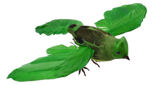 Bird in Flight - Green 