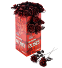 Black and Red Halloween Rose 