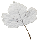 Large Frosted Leaf - Pearl 