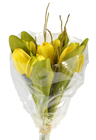 Tulip Bouquet - Yellow 