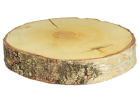 Wooden Log Slice 