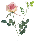 Pink Rose - 42cm 