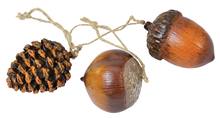 Acorn, Chestnut and Pine Cone Set 
