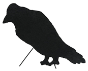 Silhouette Crow 