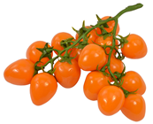 Orange Tomato Truss 
