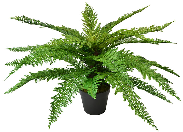Fern in Pot Artificial Plants