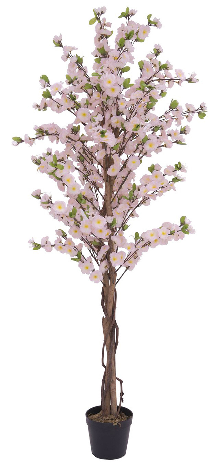 Pink Blossom Tree - 150cm 